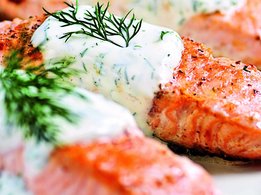 Gebratener Lachs mit Joghurtsauce und Dill