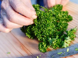 Kräuter und Gewürze machen Ihr Essen auf gesunde Weise schmackhaft