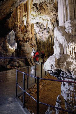 Die Höhlen von Postojna